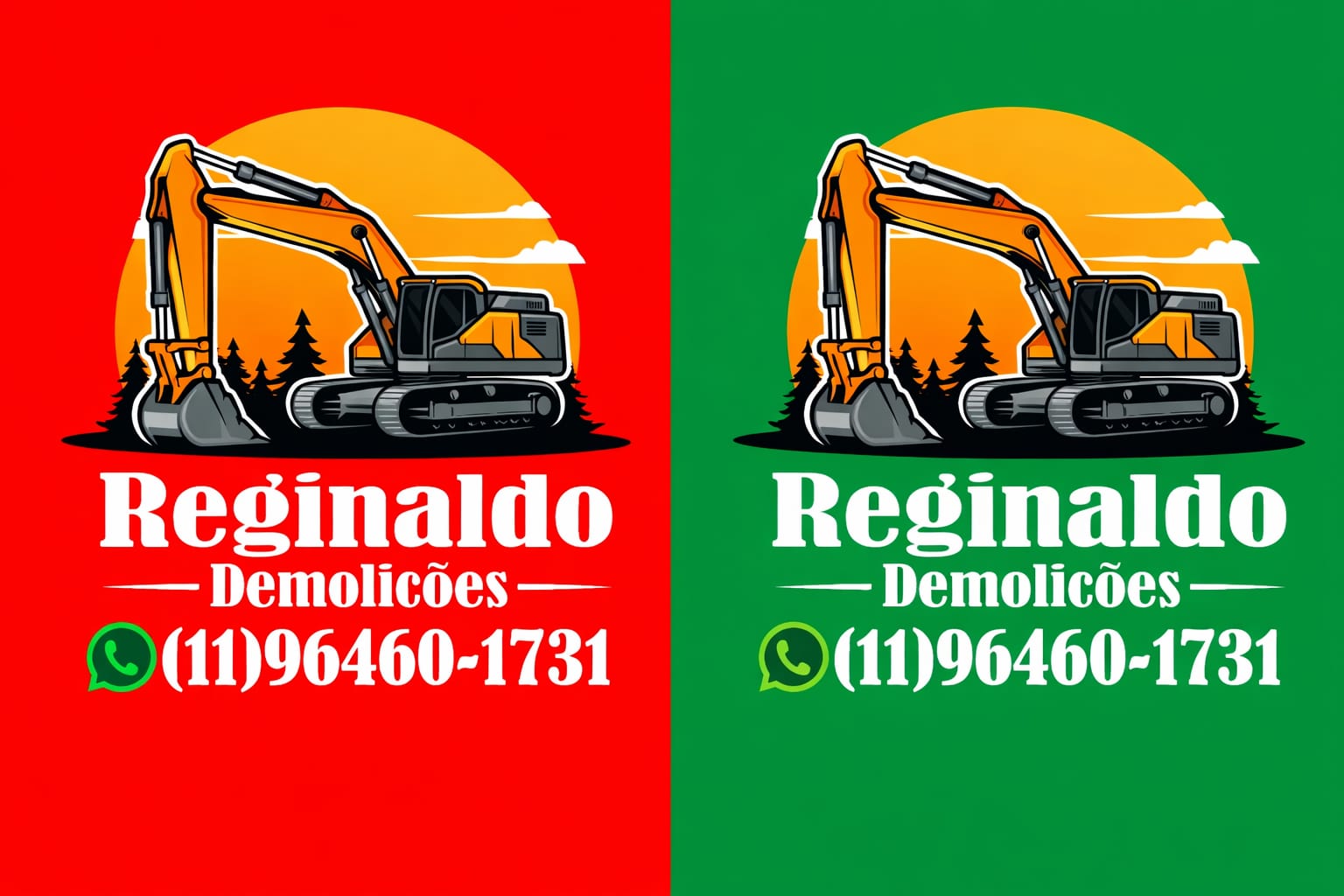 Reginaldo demolições