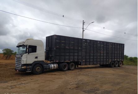 Mais um caminhão boiadeiro vindo do Tocantins é apreendido pela PRF na Chapada Diamantina