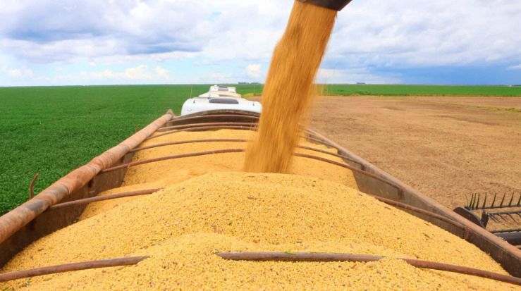 ​Em 2025, safra baiana alcança recorde de grãos com 12,8 milhões de toneladas